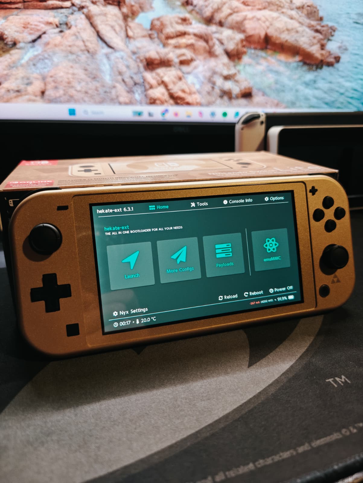 Picofly Chipped Hyrule Switch Lite