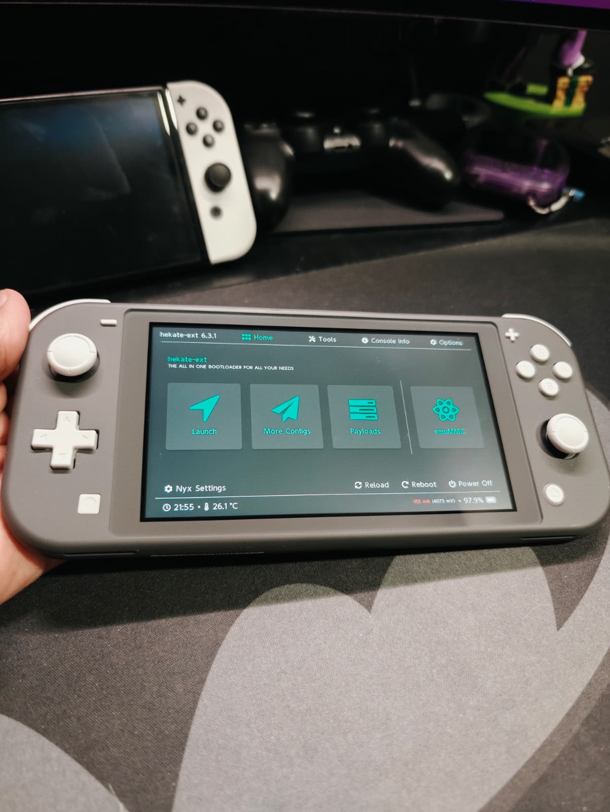 Picofly Chipped Switch Lite